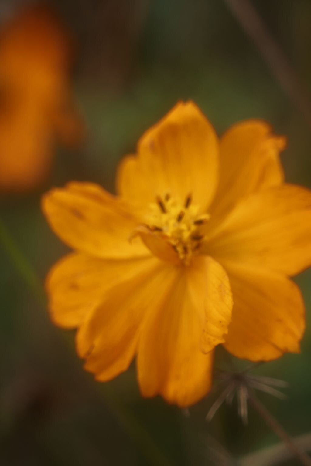 jwv_0008-50-nc-standard-wxy5hu.jpg
