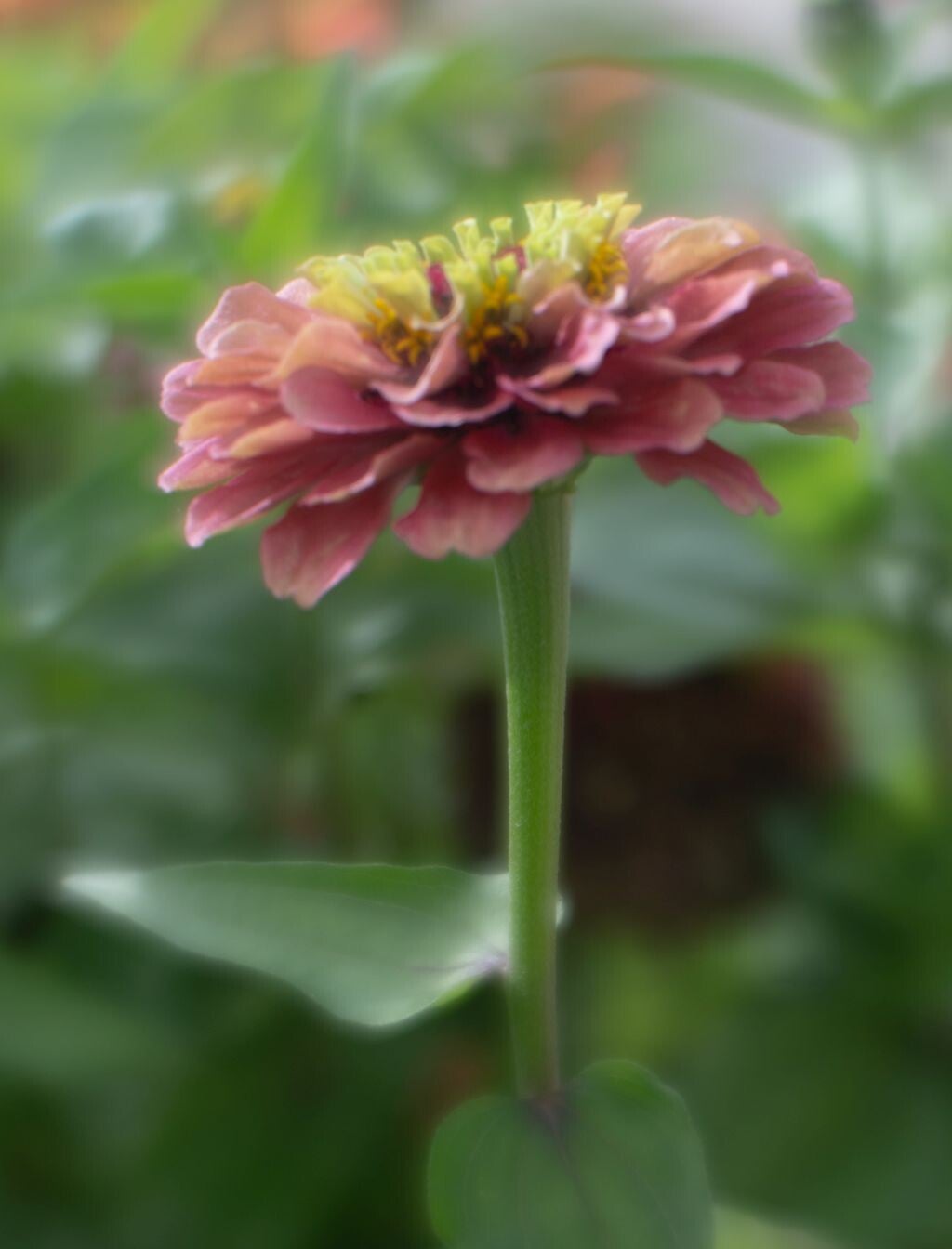 jwv_0013-60-kopie-standard.jpg