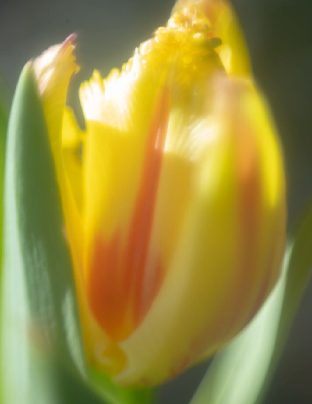 jwv_0025-kopie-standard-ohhprx.jpg