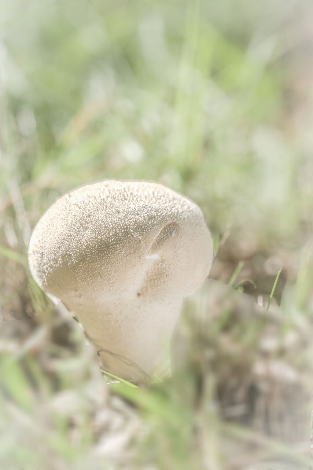 jwv_0027-48-kopie-2-standard.jpg
