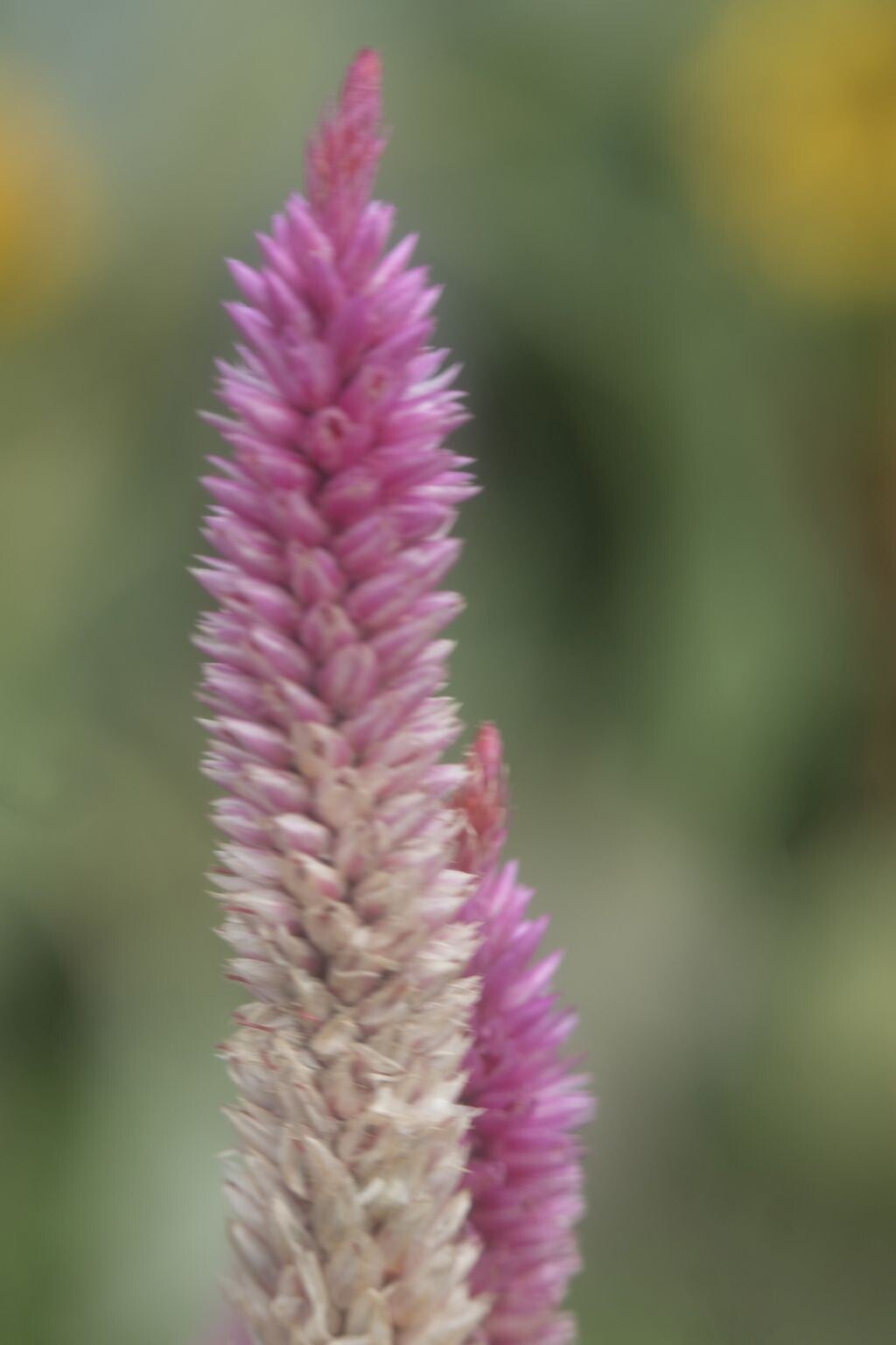 jwv_0028-45-kopie-standard.jpg