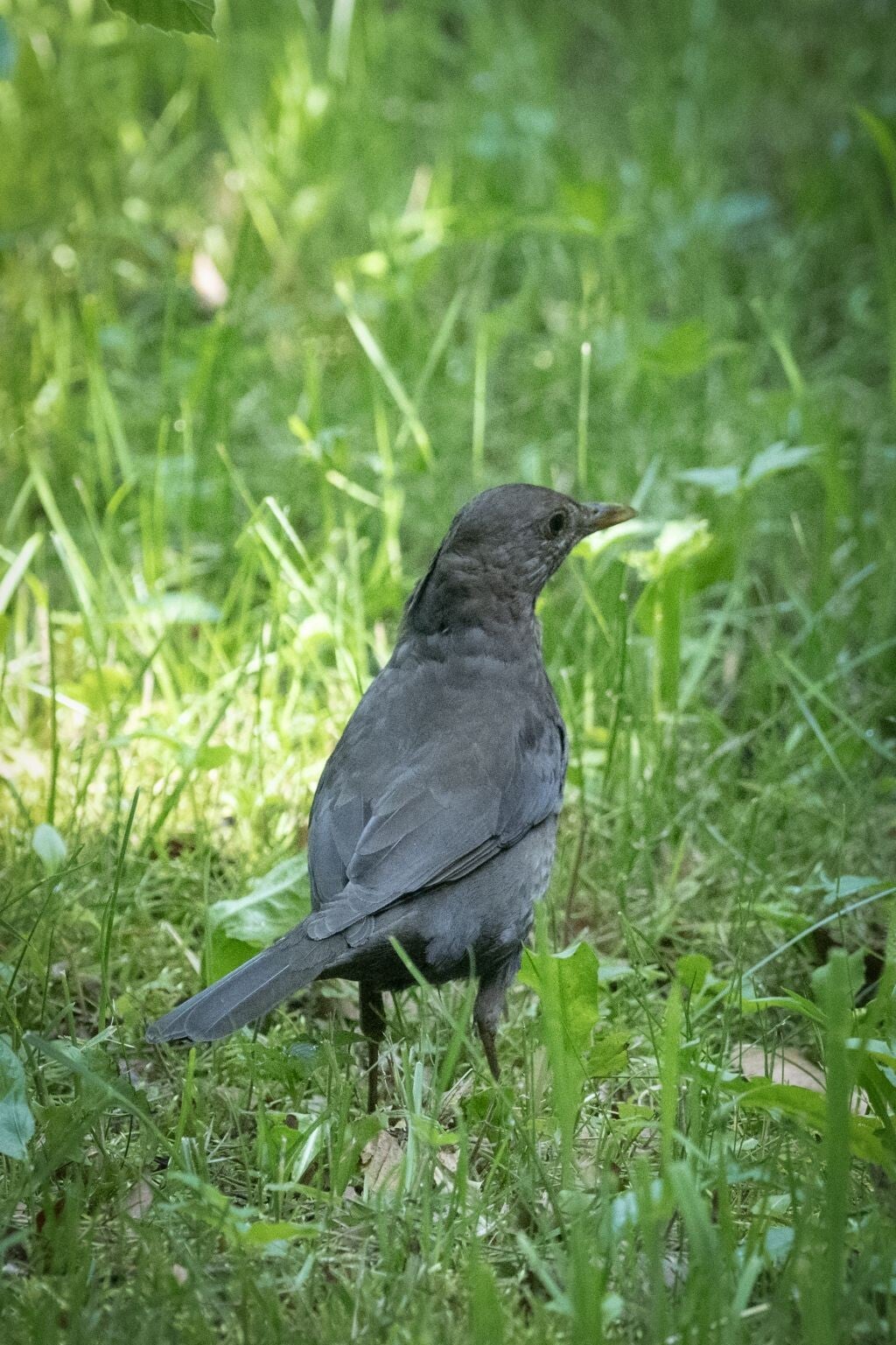 jwv_0038-53-kopie-standard.jpg