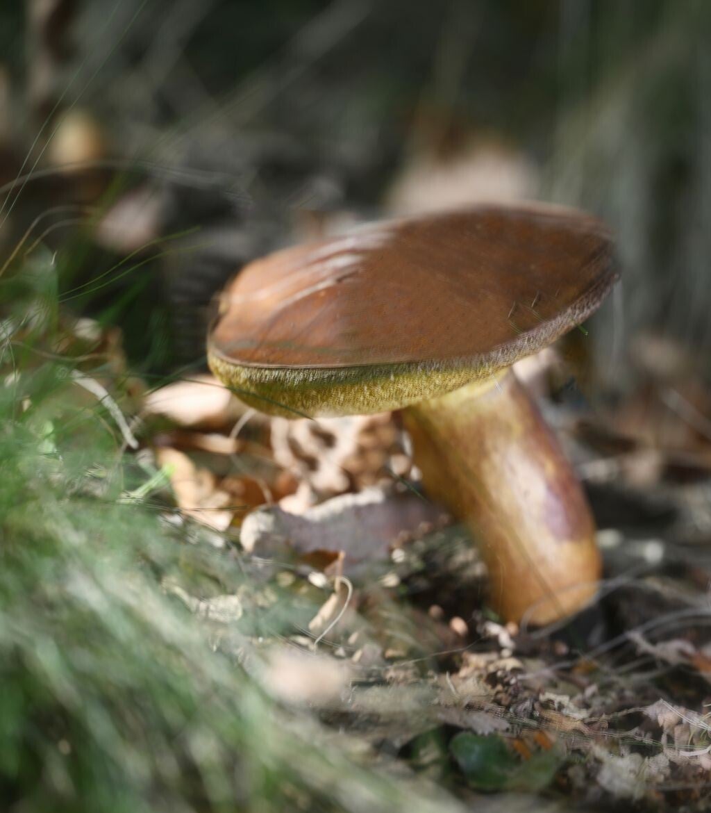 jwv_0038-nc-kopie-standard.jpg