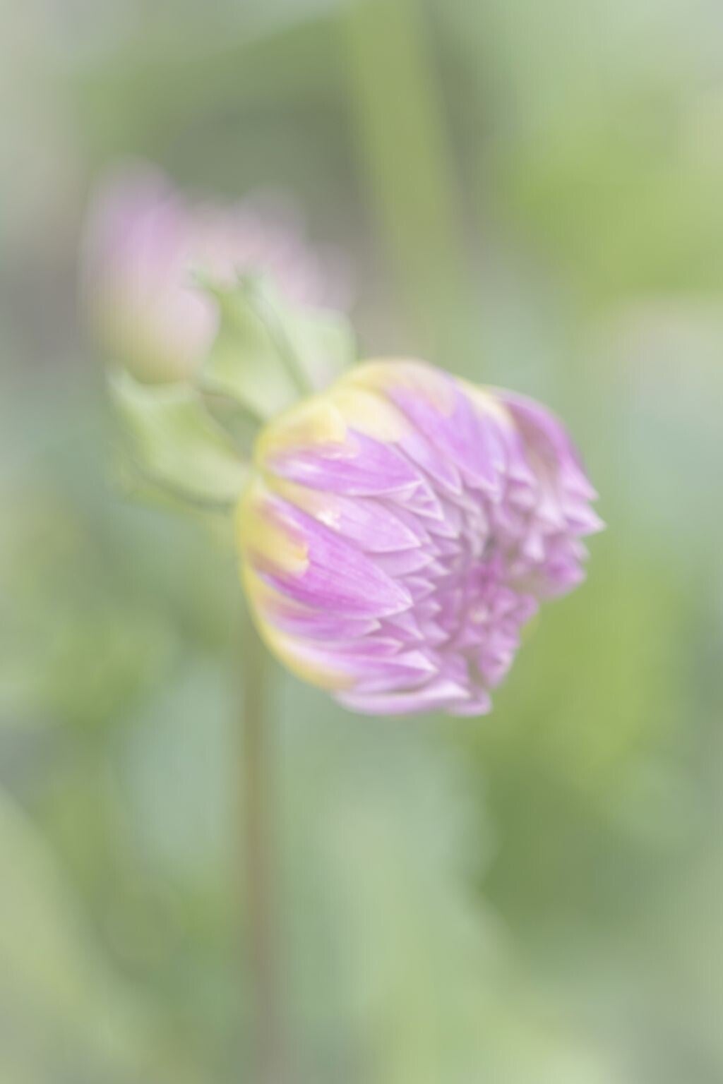 jwv_0039-66-kopie-standard.jpg