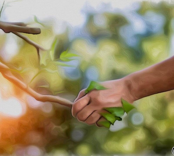 Vereinsmitgliedschaft