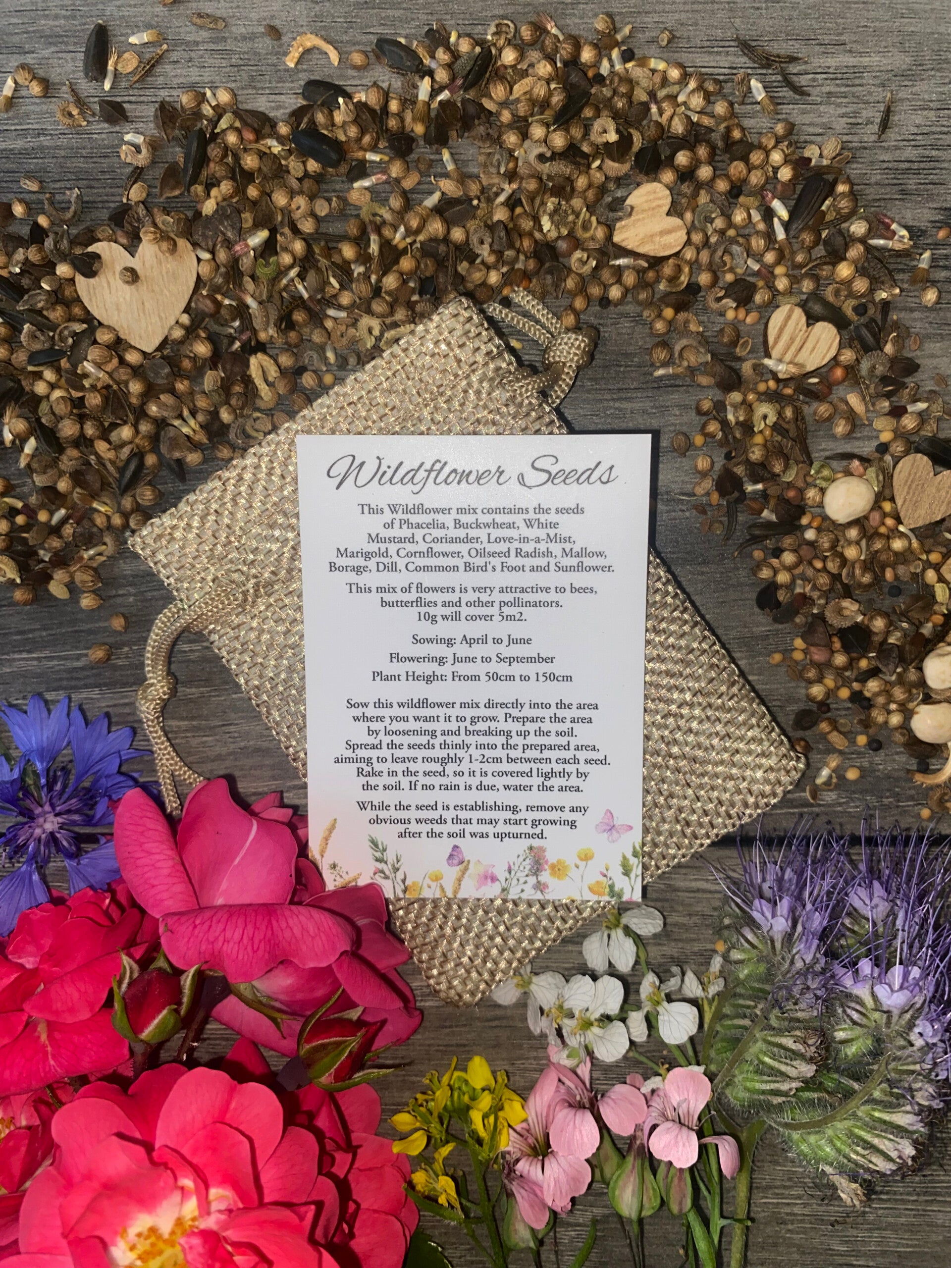 wildflower-seeds-flat-lay-standard.jpg