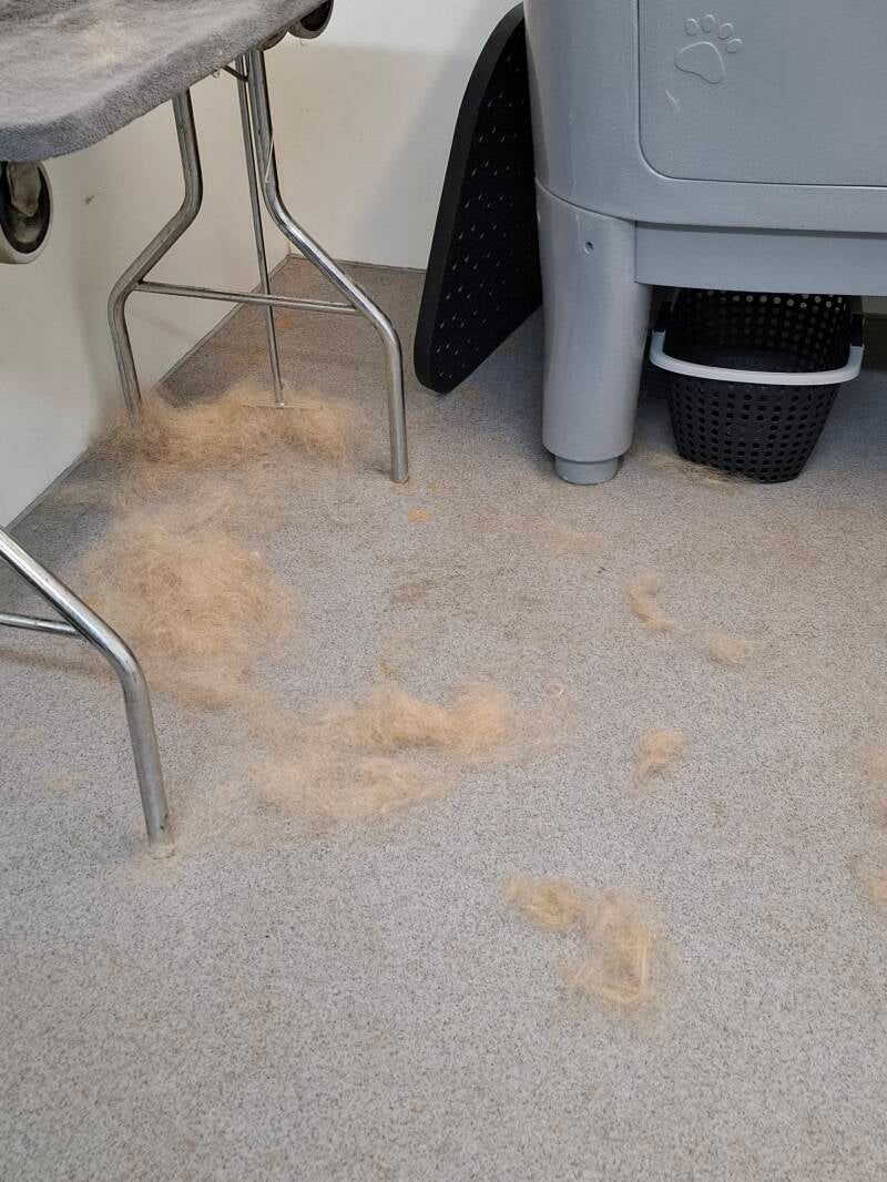 altijd eer van je werk