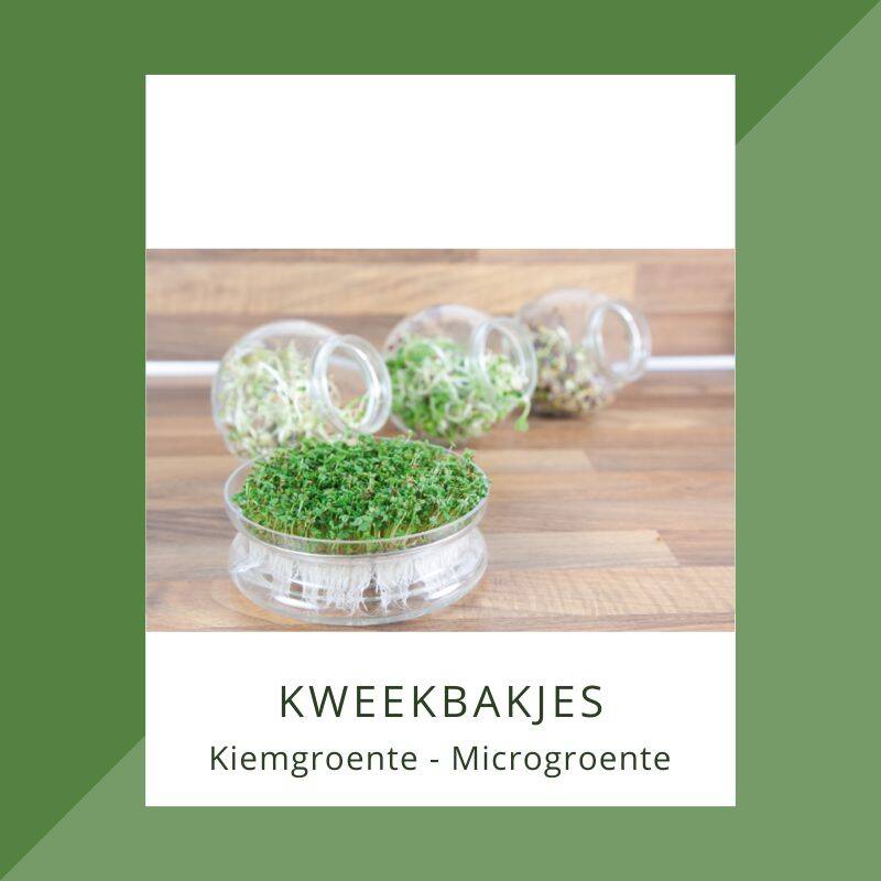 Kweekschalen voor kiemgroente om eenvoudig kiemen te kweken