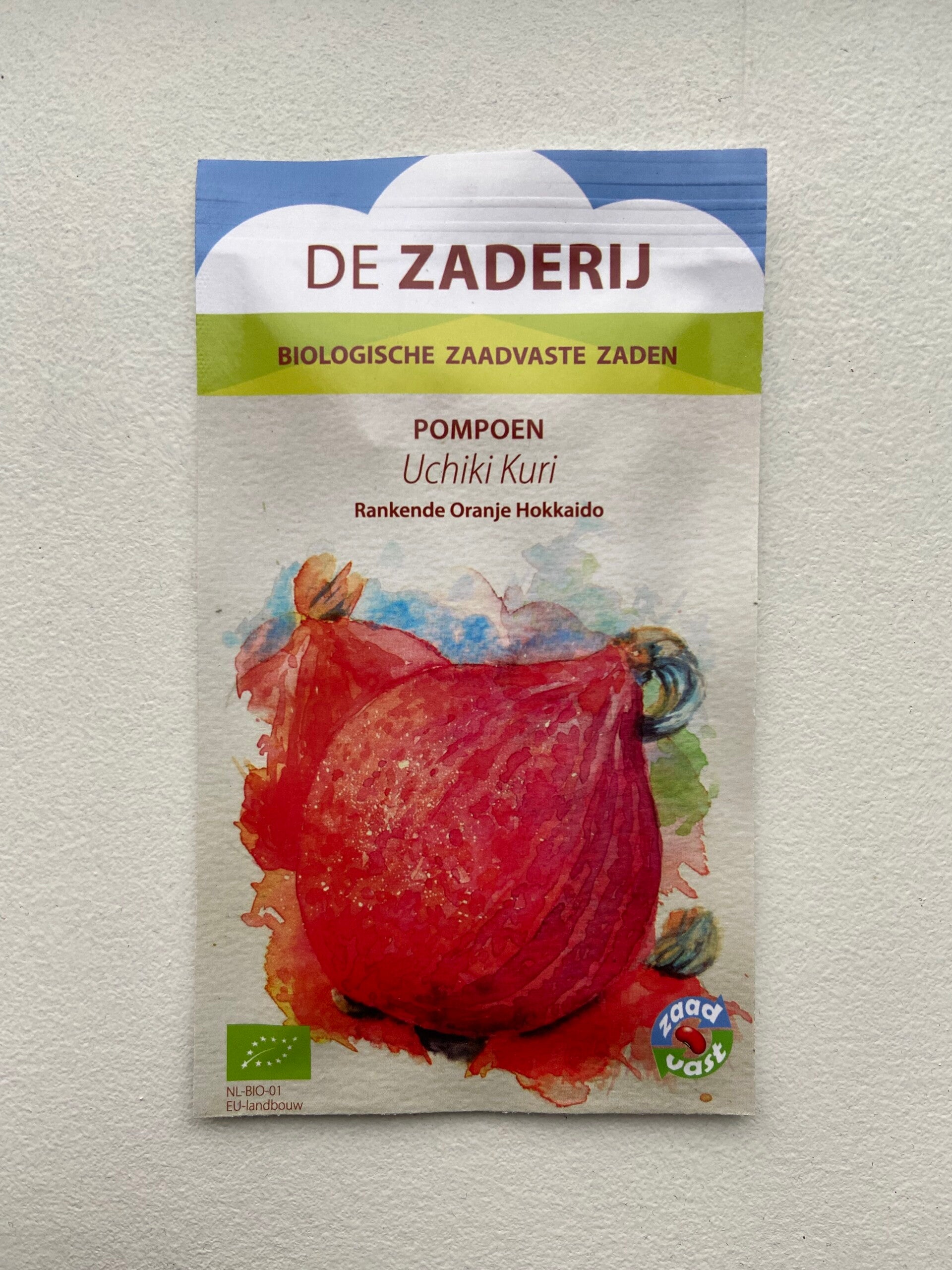 Pompoen Uchiki Kuri BIO - Inheems - Zaadvast