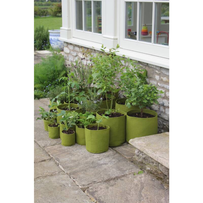 Plantzakken om een moestuin te beginnen op je balkon