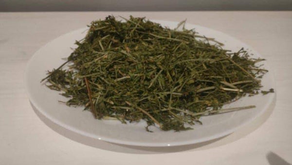 fanes de carottes