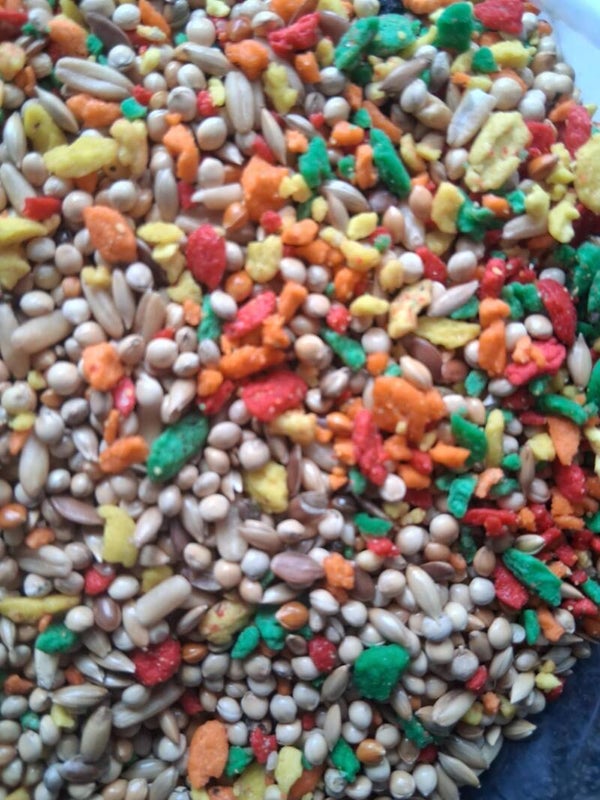 aliment perruche deluxe (avec fruits) 1kg