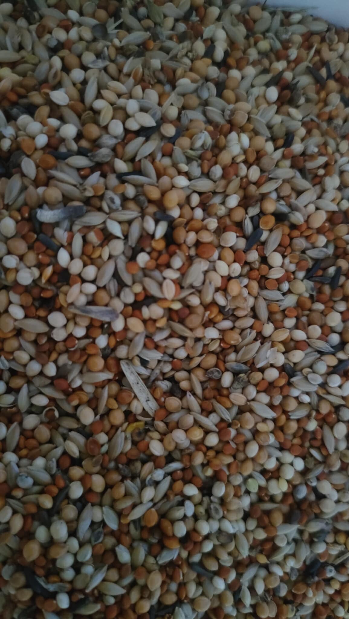 aliment exotique 3kg