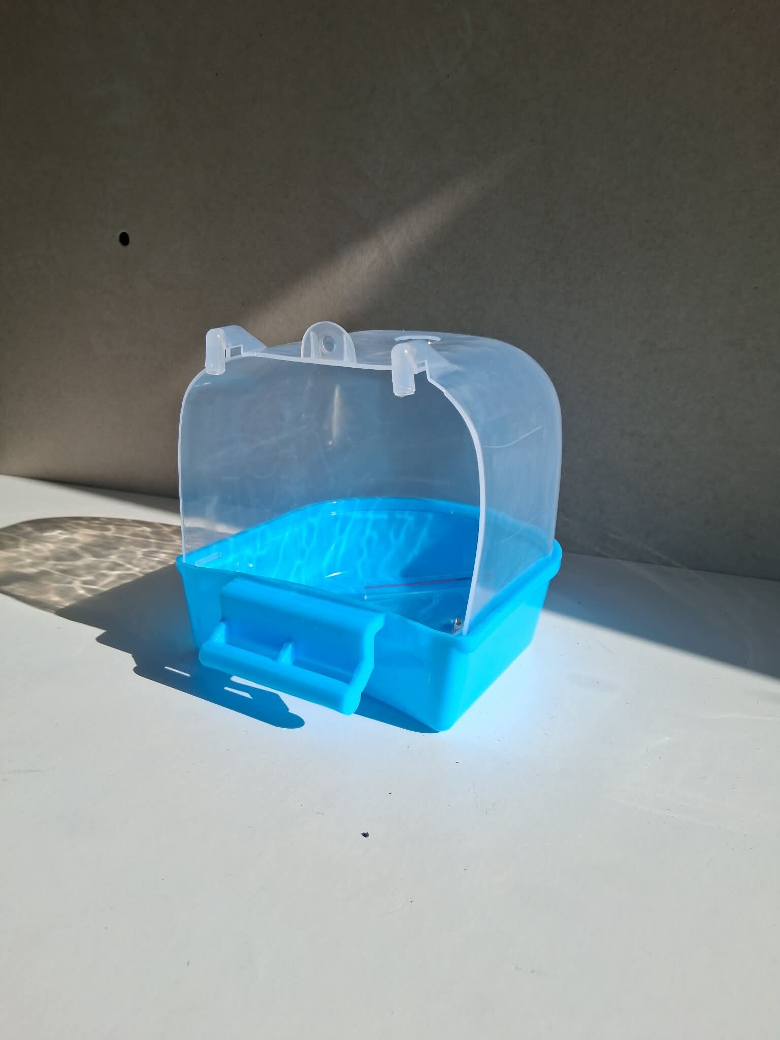bleu