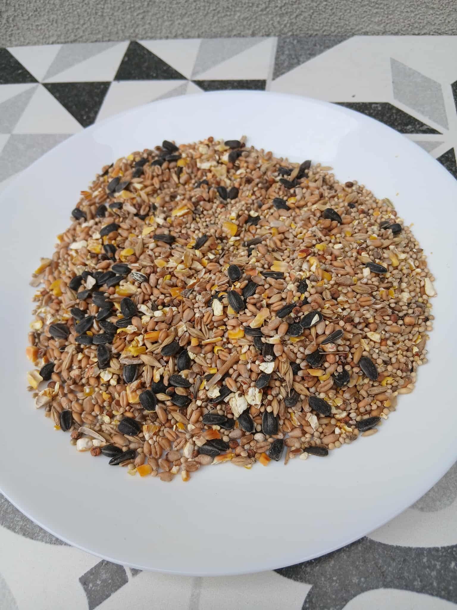 aliment oiseaux du ciel