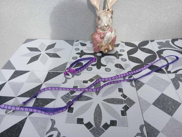collier et laisse violet