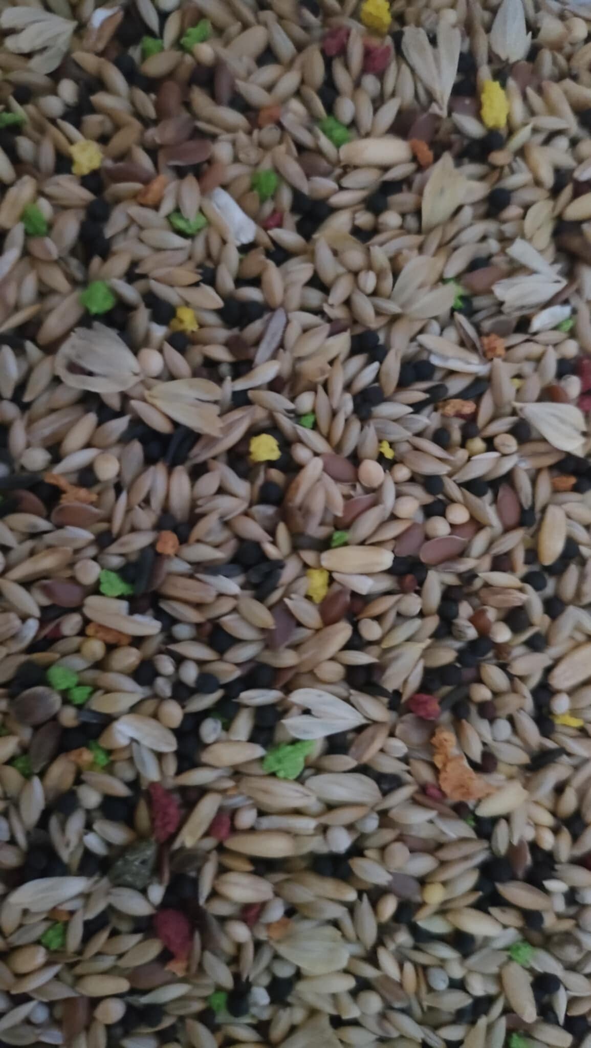 aliment canaris 0.500kg