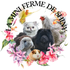 la mini ferme de Shiny