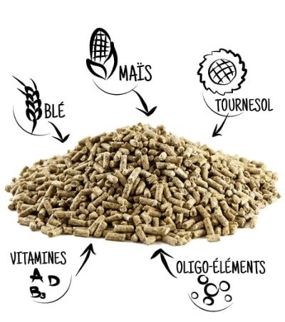 aliments poule pondeuse 5kg