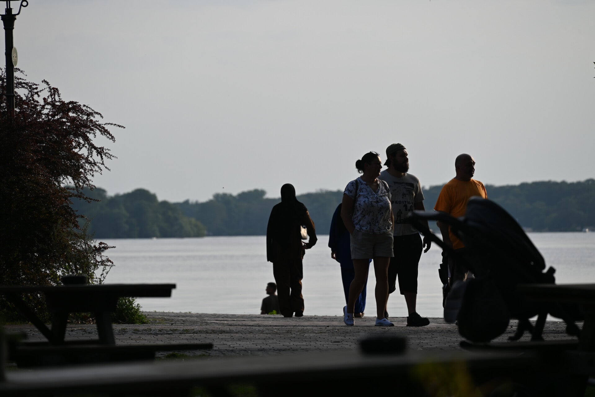 dsc_0419-standard.jpg