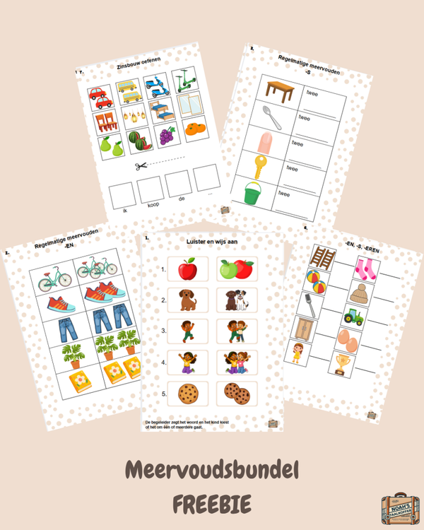 Meervoudsbundel
