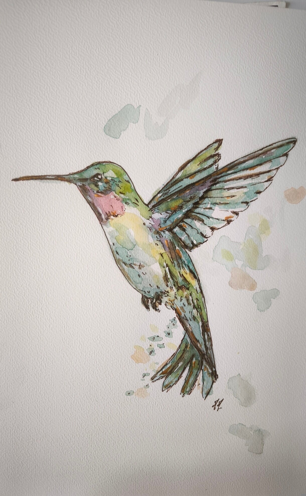 Aquarelle. Le Colibri