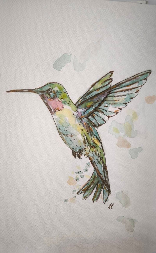 Aquarelle. Le Colibri