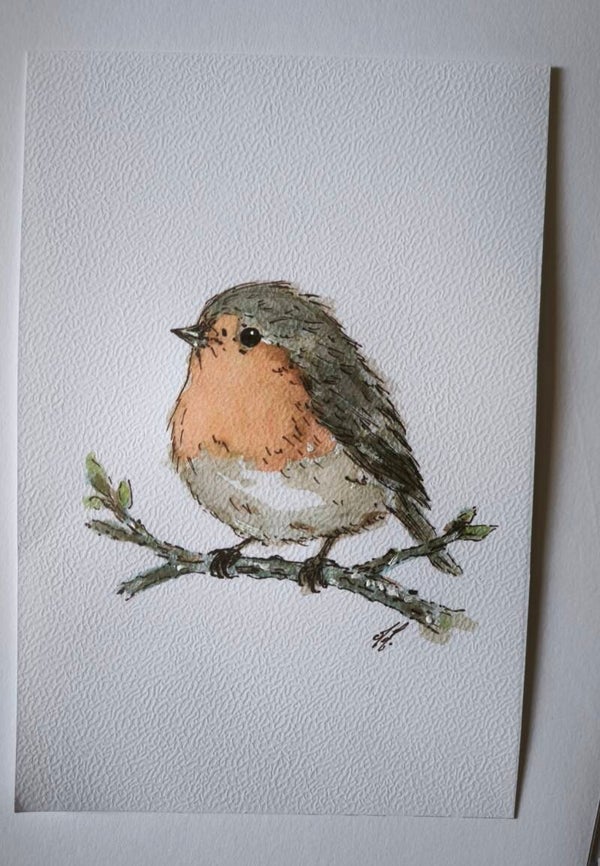 Aquarelle. Le Rouge Gorge