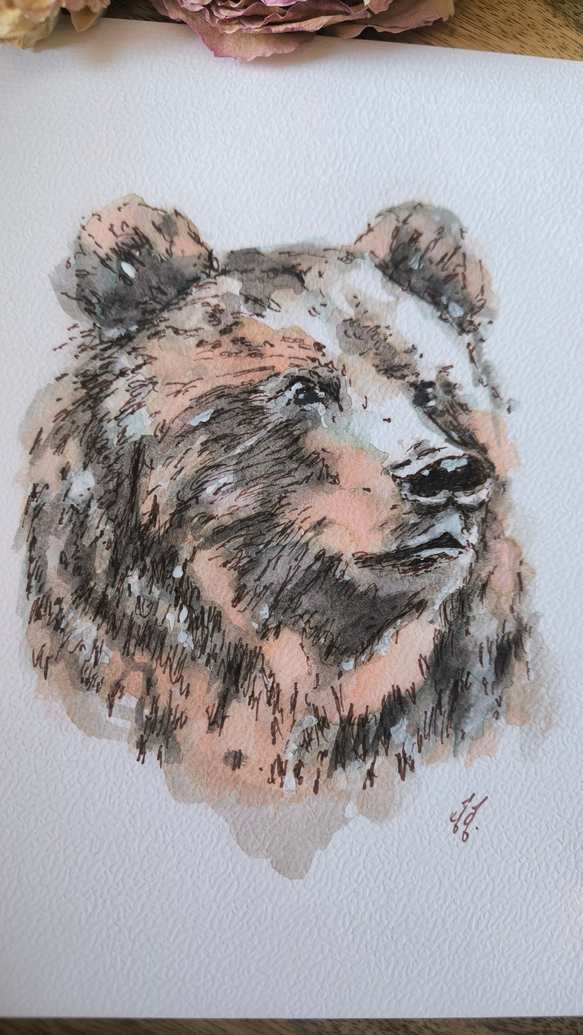 Aquarelle. L'Ours