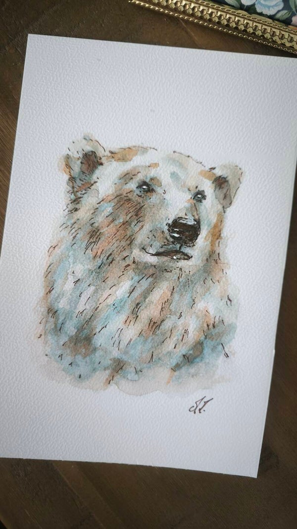 Aquarelle. L'ours