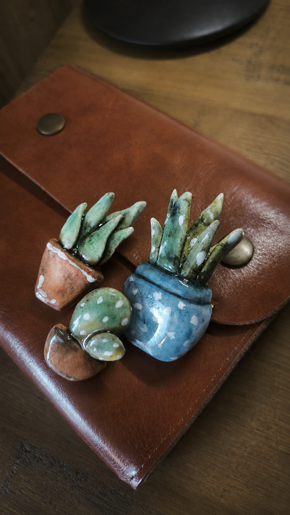 Lot . 3 broches cactus . Plantes grasses