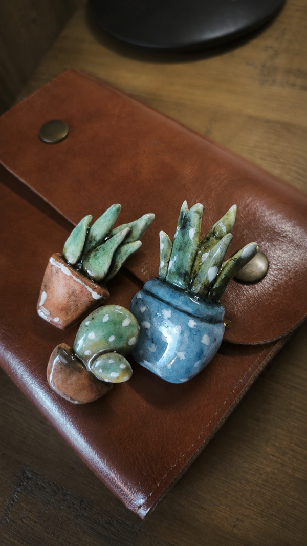 Lot . 3 broches cactus . Plantes grasses