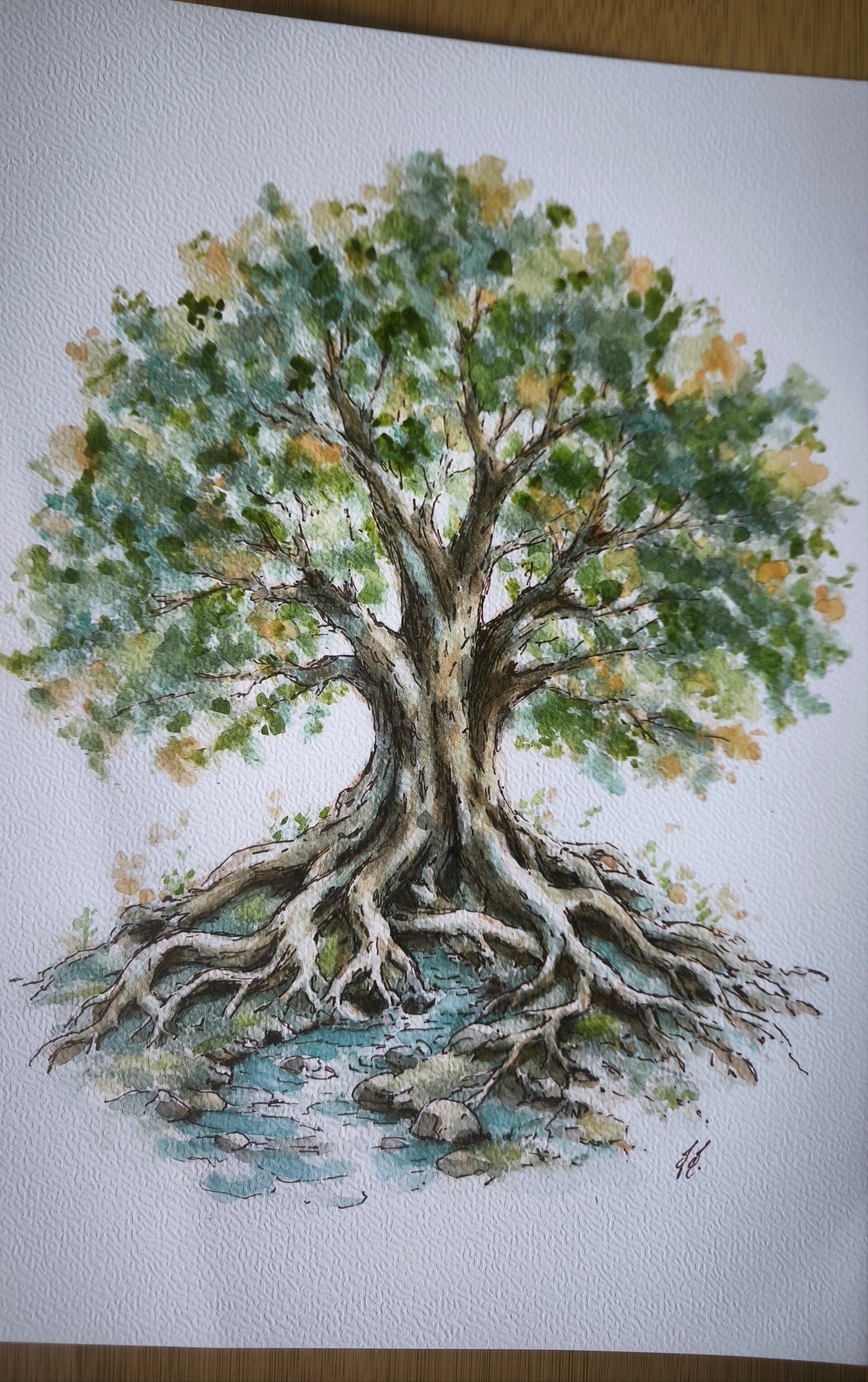 Aquarelle. Le grand chêne
