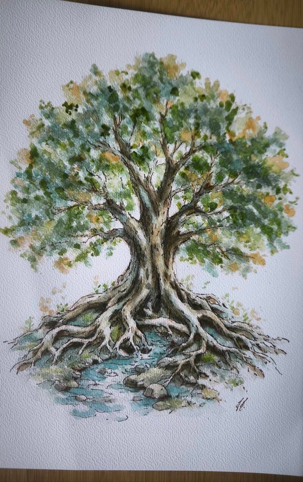 Aquarelle. Le grand chêne