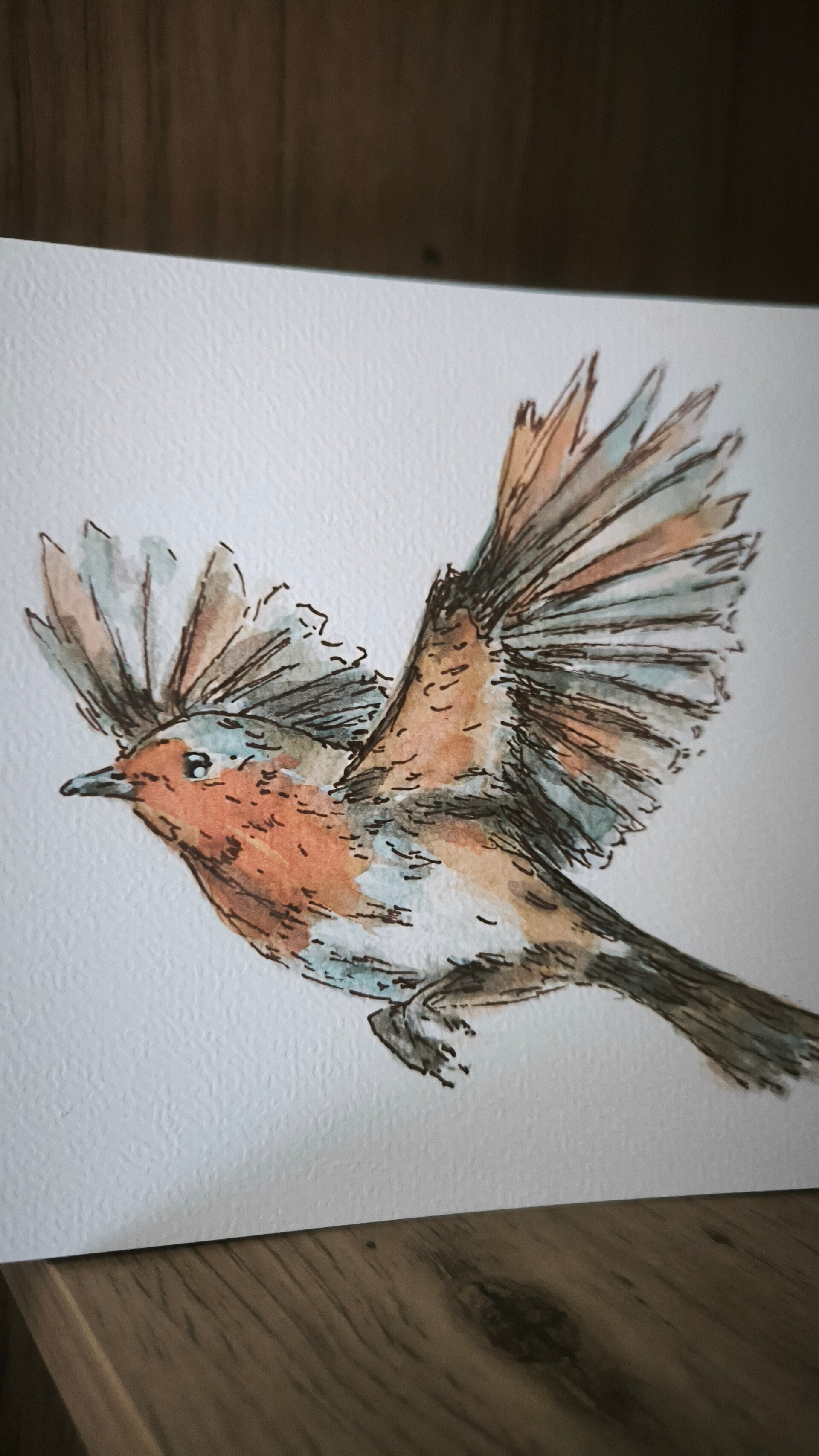 Aquarelle. Le Rouge gorge