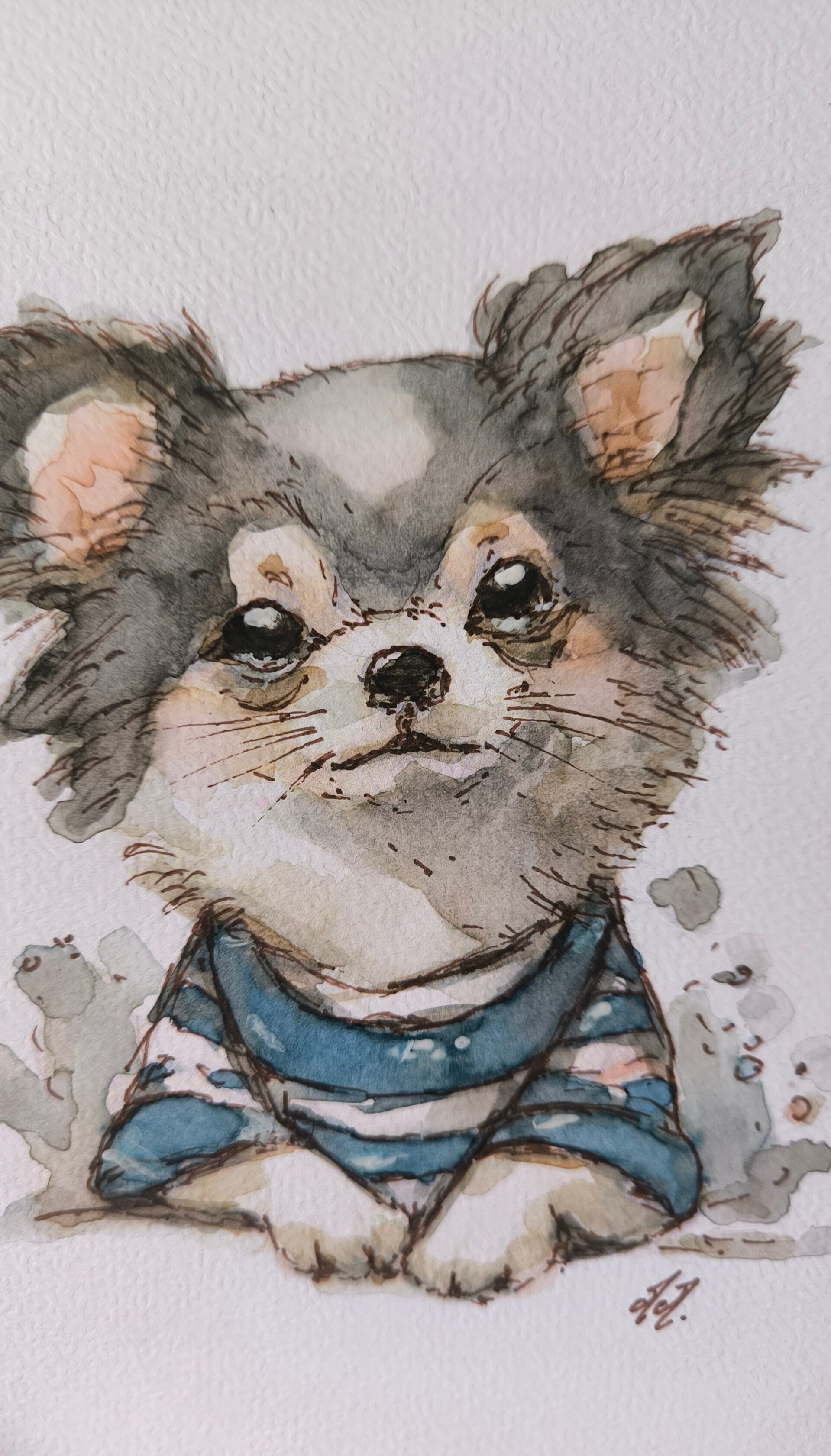 Aquarelle. Le Chihuahua