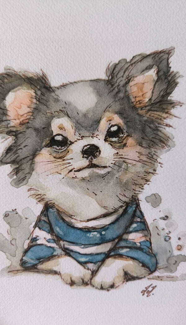 Aquarelle. Le Chihuahua