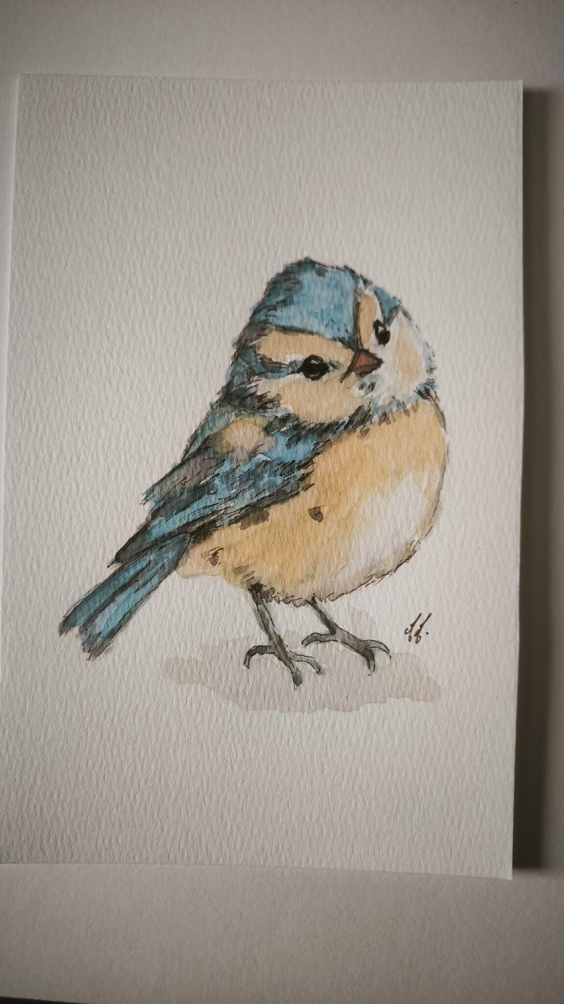 Aquarelle. Petit piou
