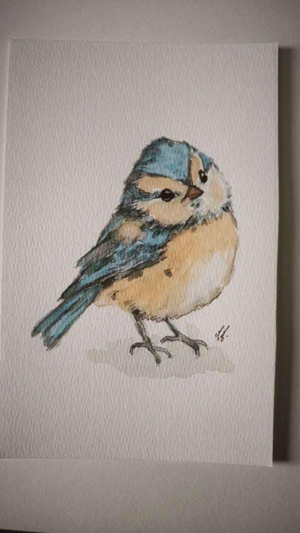 Aquarelle. Petit piou