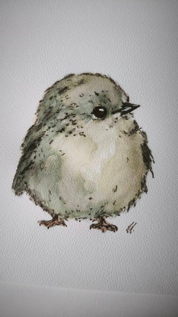 Aquarelle. Piou piou
