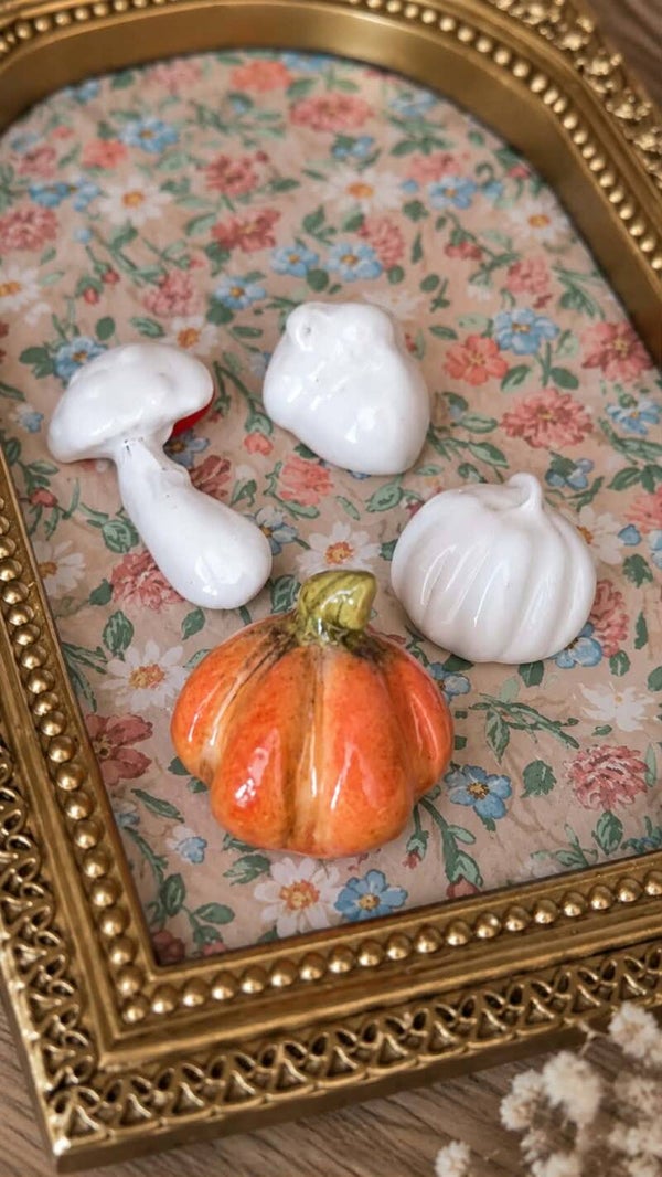Lot broches d'automne