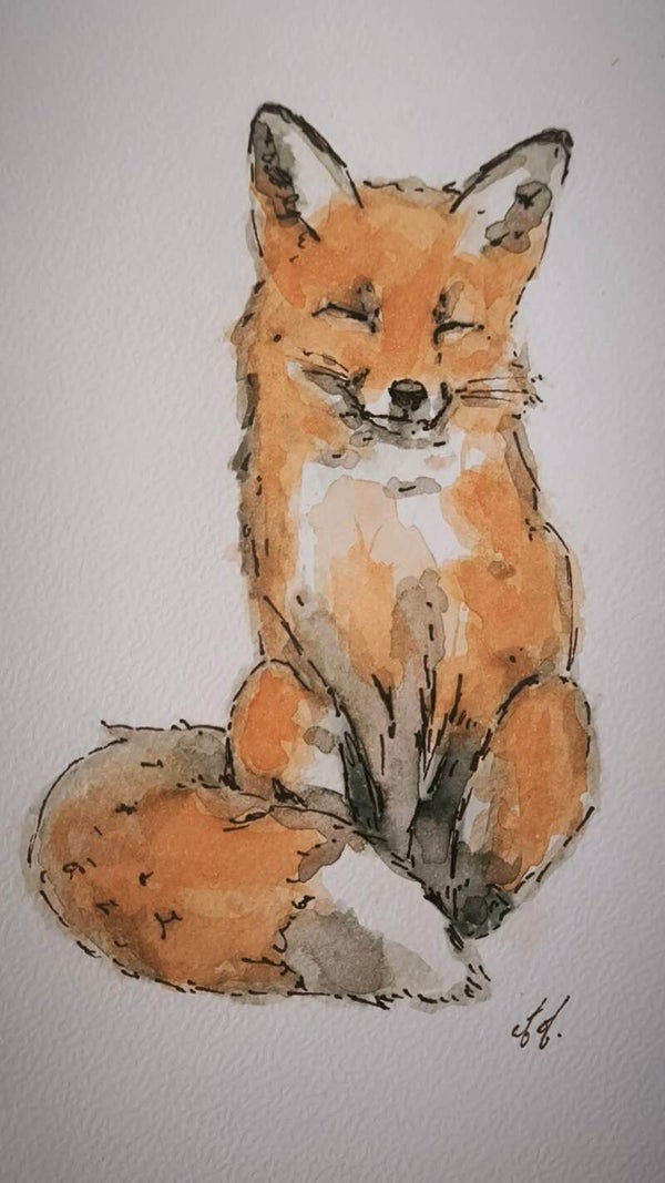 Aquarelle. Le Renard. 3