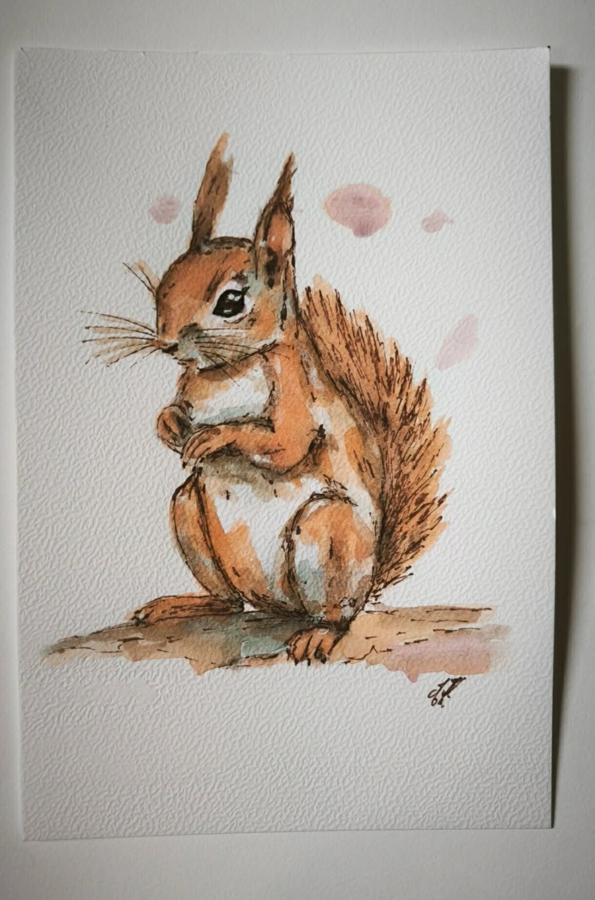 Aquarelle. L'écureuil roux