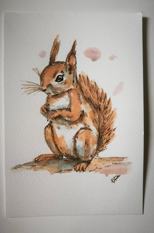 Aquarelle. L'écureuil roux