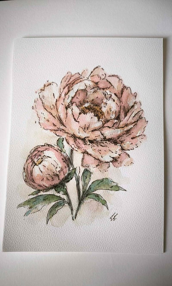 Aquarelle. Les Pivoines
