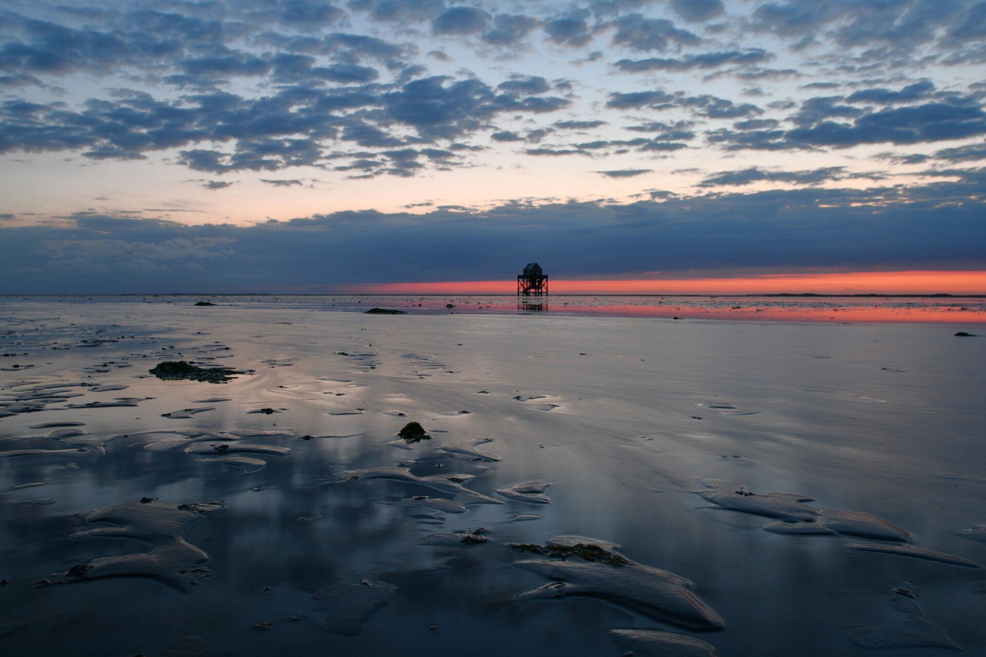 dsc_0417-standard.jpg