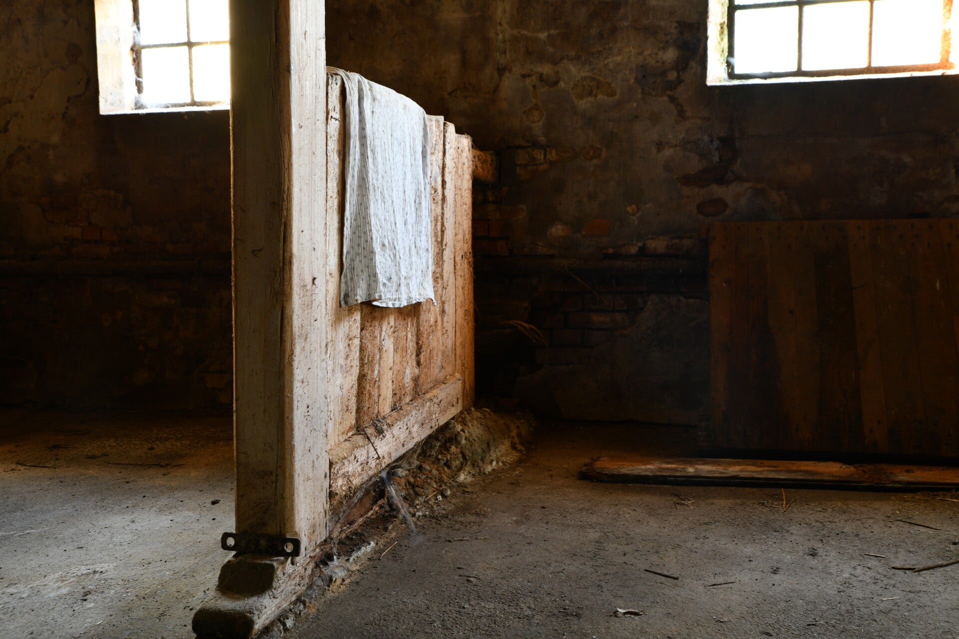 dsc_2545-standard.jpg
