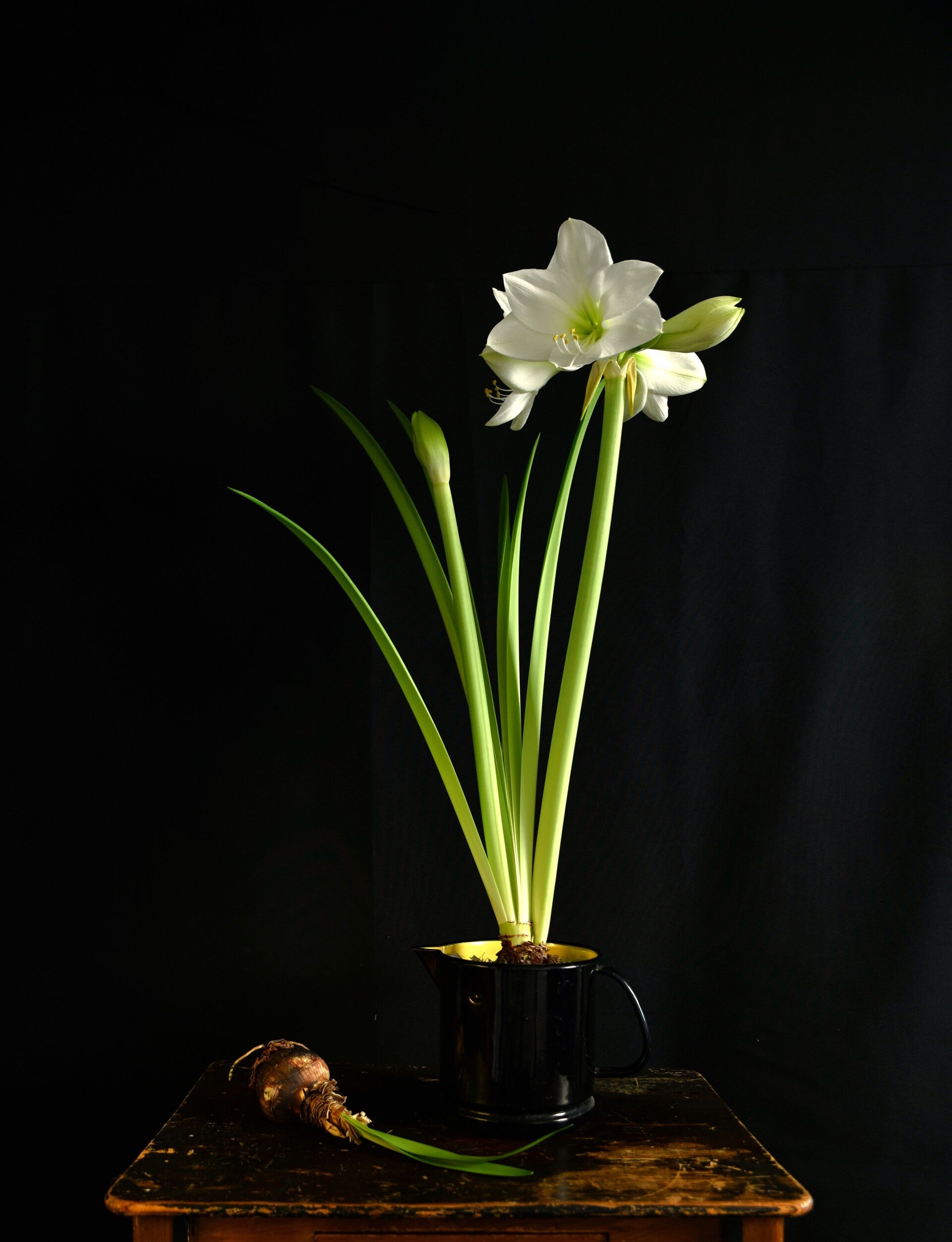 dsc_4841-standard.jpg