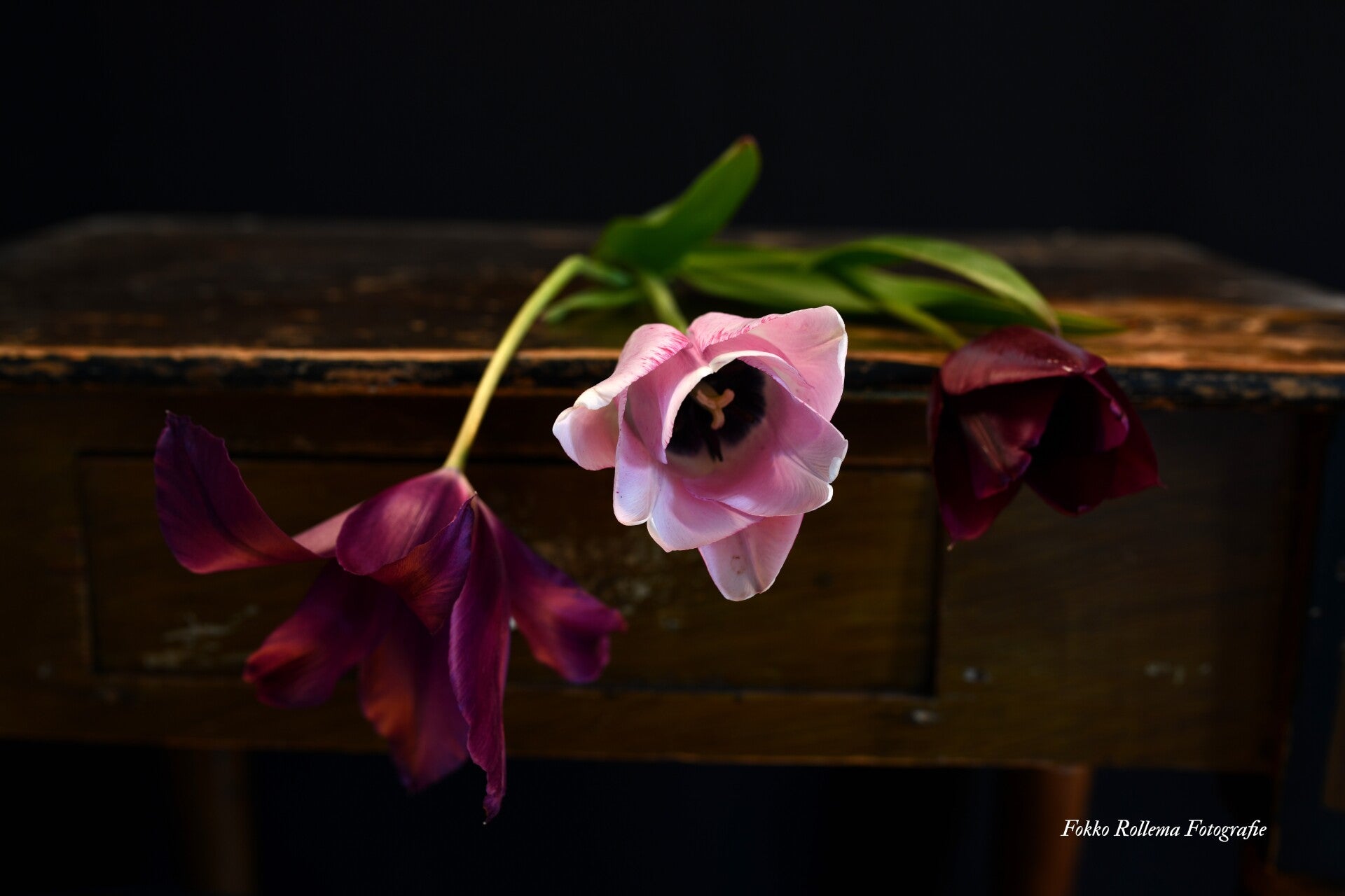 dsc_9238-1-standard.jpg