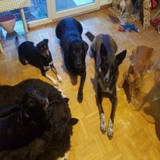 2020-02-13173123.jpg